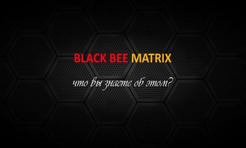 Чёрные пчёлы — Плотники и  Воины